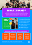 What is BAMD.png