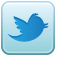 twitter-icon