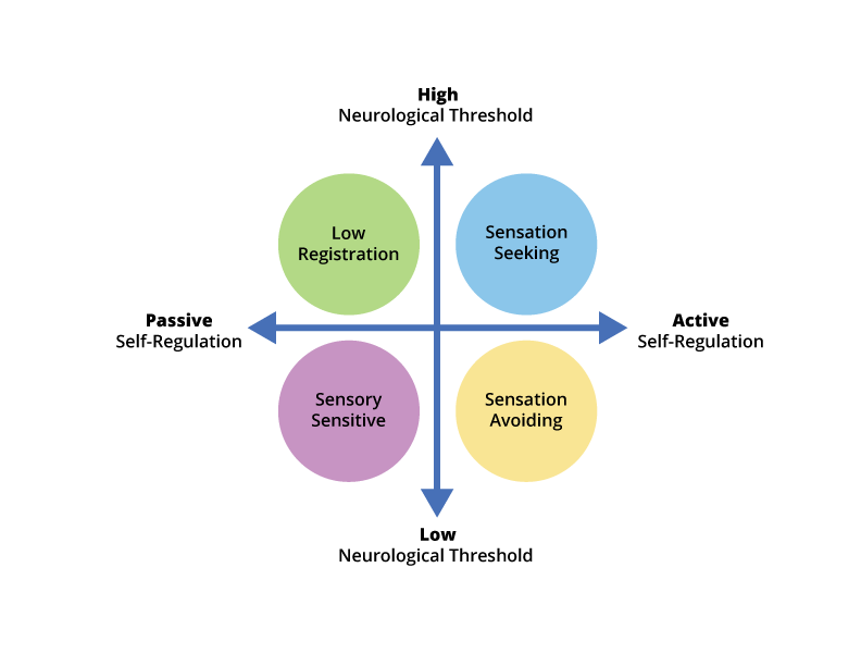 What Are Sensory Thresholds