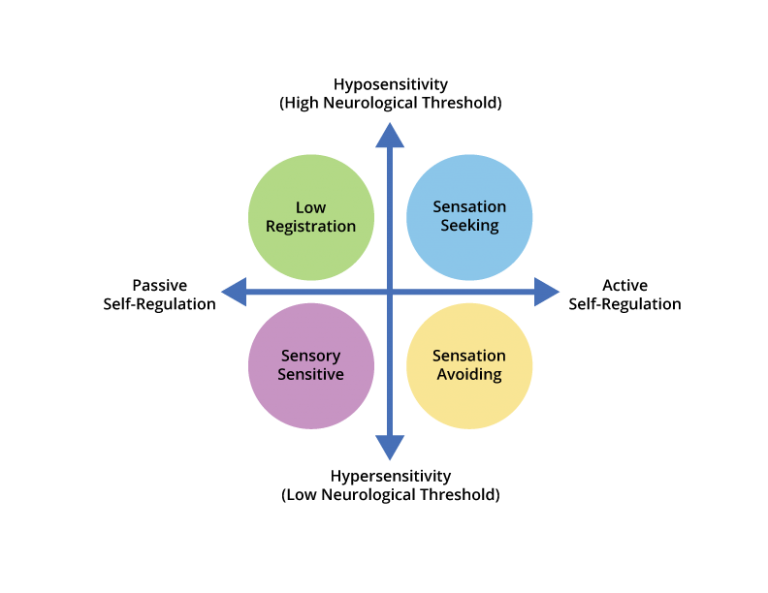 Four Patterns Of Sensory Processing | ConnectABILITY