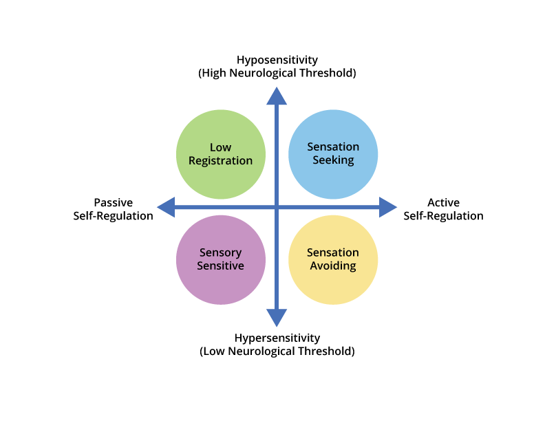 Four Patterns of Sensory Processing ConnectABILITY