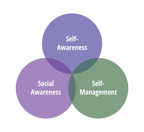 diagram self-awareness, Social Awareness, Self-management