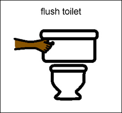 step 7 flush toilet